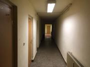IMG2581