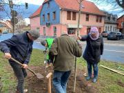 IMG-20191214-WA0004